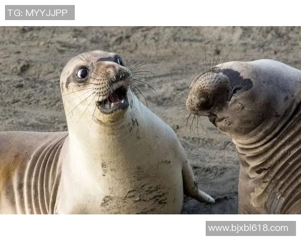 足球明星搞笑服装大揭秘让你捧腹大笑的奇葩造型合集